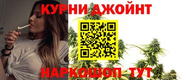 гашик Ливны