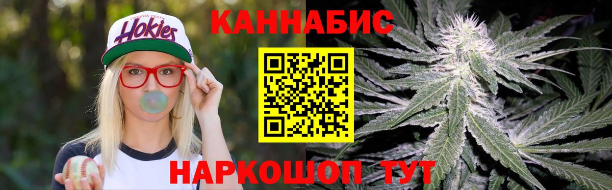 Канабис сатива Ессентуки